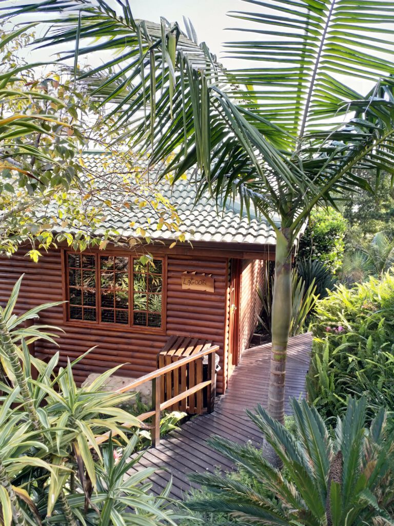 Big Tree House lodge accommodaties liggen in een mooi aangelegde tuin | Knysna rondreis Zuid Afrika