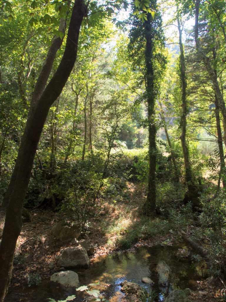 Mooie wandeltocht naar de Potami watervallen op Samos