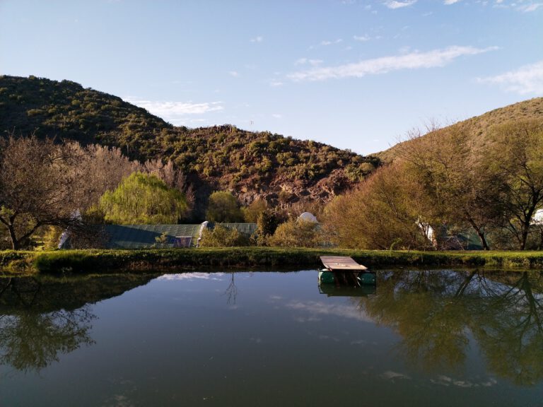 Uitzicht vanuit onze kamer bij Old Mill Lodge & Restaurant Oudtshoorn Zuid Afrika