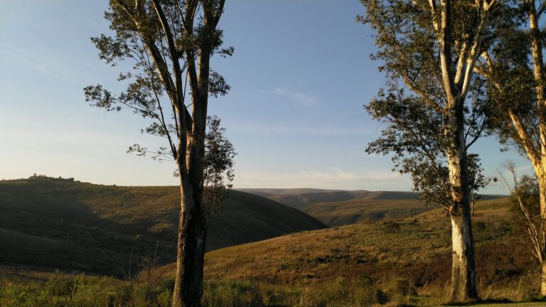 Prachtig uitzicht op de Zuurberg tijdens rondreis door Zuid Afrika