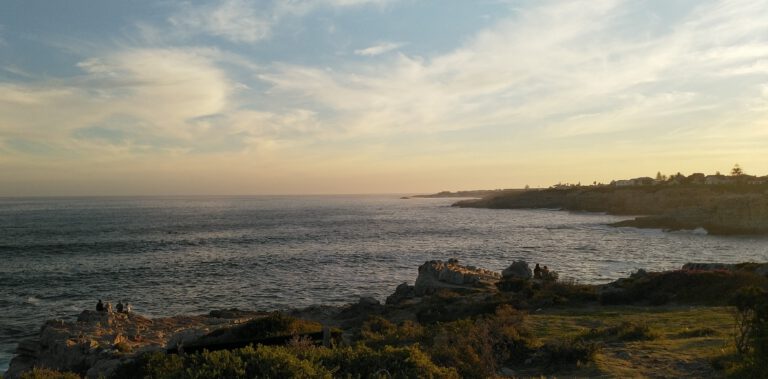 Walvissen spotten vanaf de waterkant in Hermanus tijdens onze rondreis door Zuid Afrika