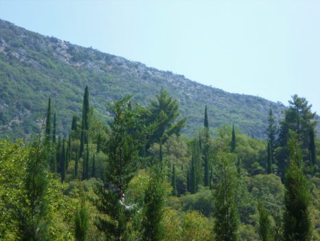 Groene natuur op Kefalonia - Griekse eilanden